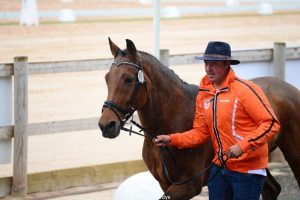 Paard in the picture: Jones van Stal van Eijk
